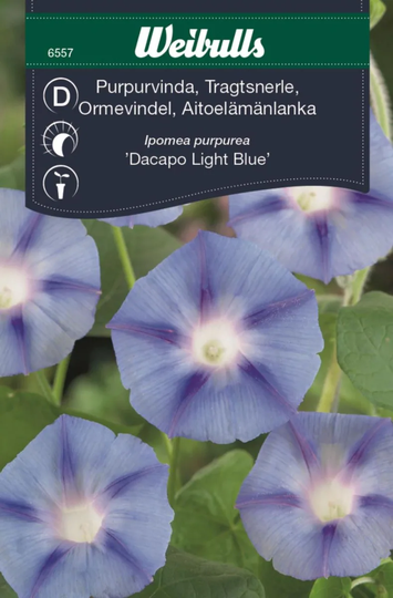 Weibulls Vinda Dacapo Light Blue