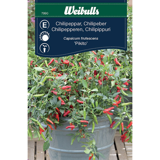 Chilipeppar 'Pikito'