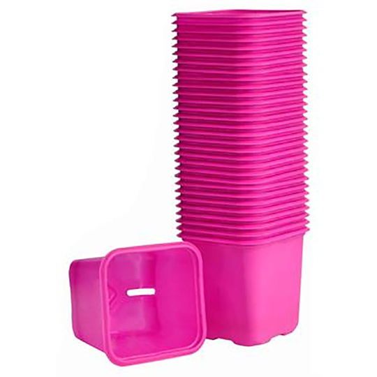 Plastkruka 6 cm, rosa