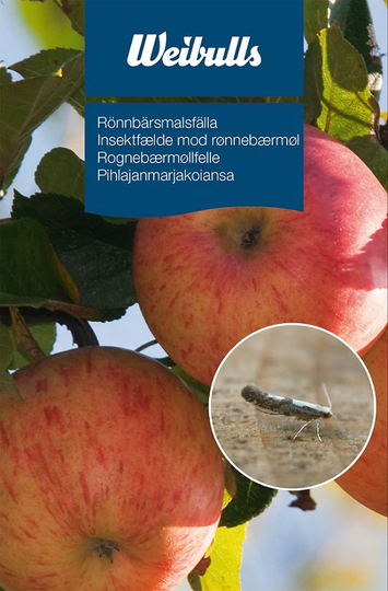 Weibulls Feromonfälla Rönnbärsmal