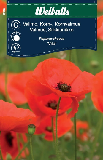 Weibulls Kornvallmo Vild Röd