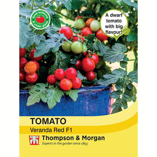 Tomat 'Veranda Red' F1