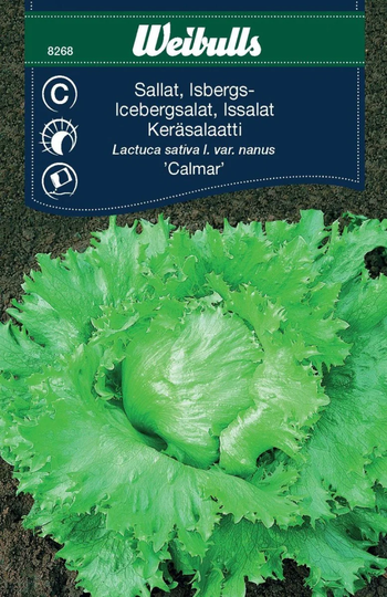 Weibulls Isbergssallat