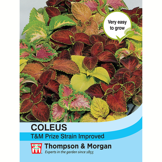 Palettblad 'T&M Prize Strain Improved'