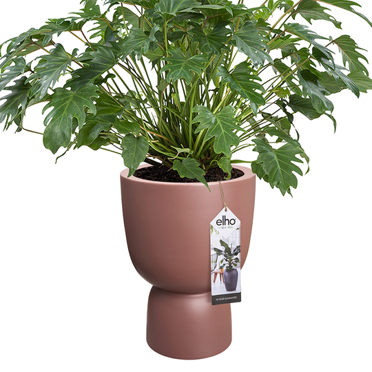 Kruka Pure Coupe 41 cm, rosabrun