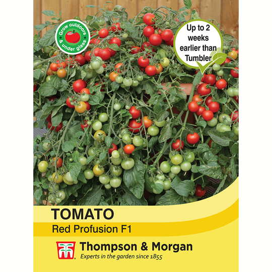 Tomat 'Red Profusion' F1
