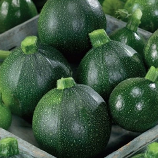 Squash 'Tondo di Piacenza'