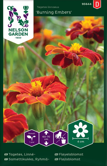 Nelson Garden Tagetes Linné Burning Embers