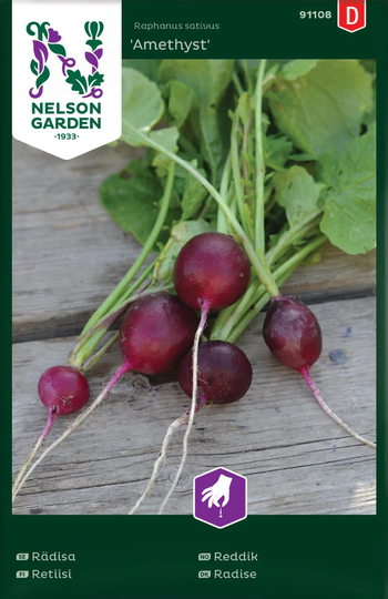 Nelson Garden Rädisa Amethyst