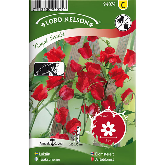 Luktärt 'Royal Scarlet'