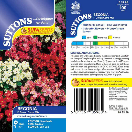 Begonia 'Devon Gems Mix' F1