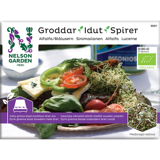 Groddar Alfalfa - Primo Vitamino