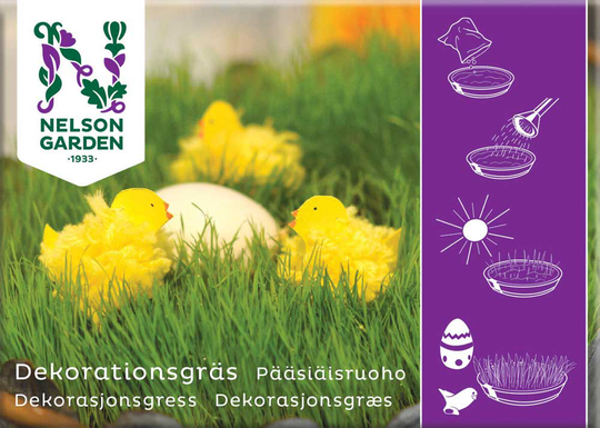 Nelson Garden Dekorationsgräs HD