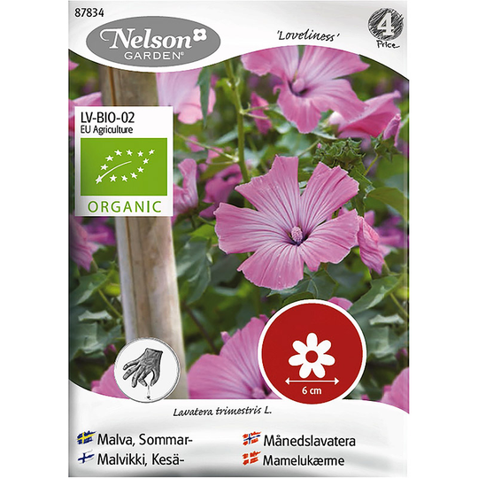 Sommarmalva Loveliness, ekologisk