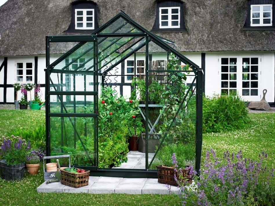 Halls Växthus Popular 106 m/3 mm Härdat Glas 6,2m² Grön