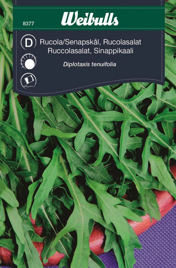Weibulls Rucola Flerårig