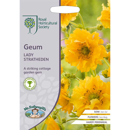 Nejlikrot 'Lady Stratheden'