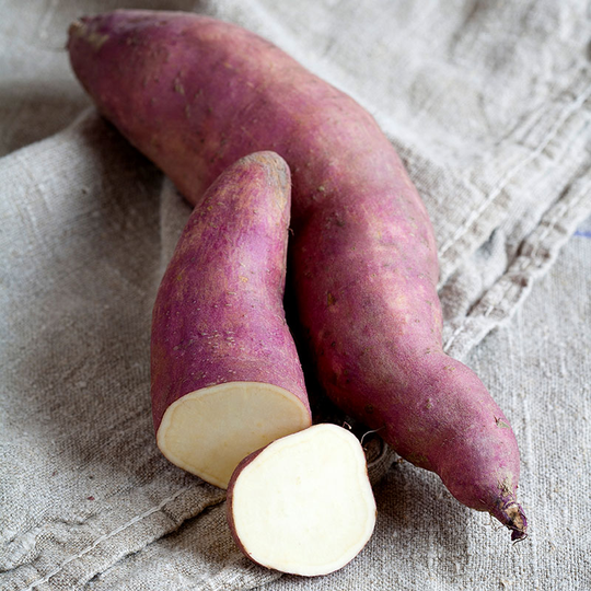 Sötpotatis 'Erato Pleno', ekologisk 3-pack