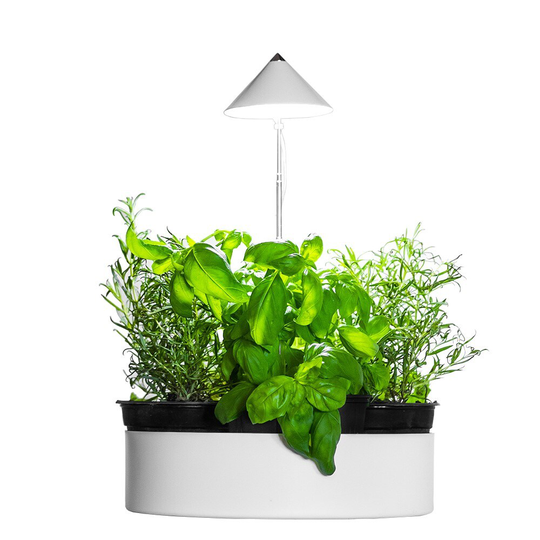 Venso EcoSolutions Odlingskit Venso miniHerb L