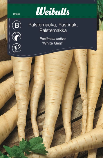 Weibulls Palsternacka