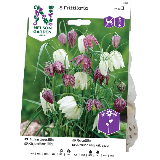 Nelson Garden Kungsängslilja Blandade Färger