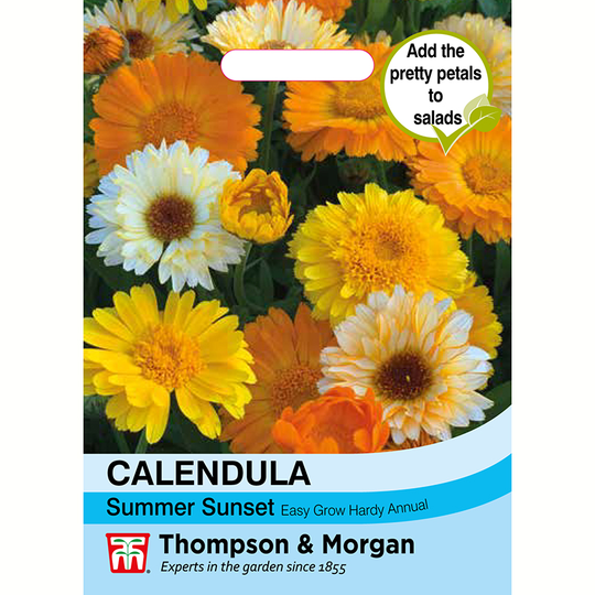Ringblomma 'Summer Sunset'