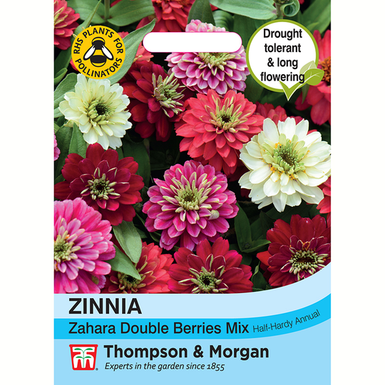 Marylandzinnia 'Dobule Berries' Mixed