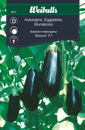 Weibulls Aubergine