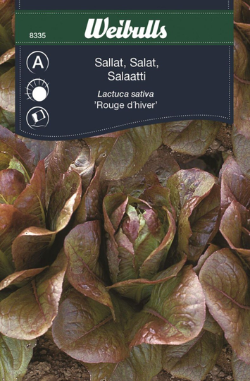 Weibulls Sallat Rouge D Hiver