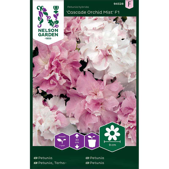 Petunia 'Cascade Orchid Mist' F1