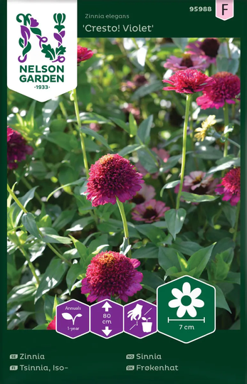 Nelson Garden Zinnia Cresto! Violet