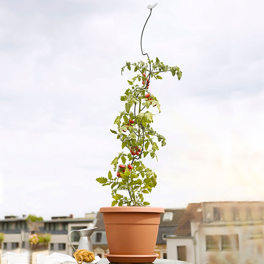 Växtstöd My City Garden 9x153 cm, antracit