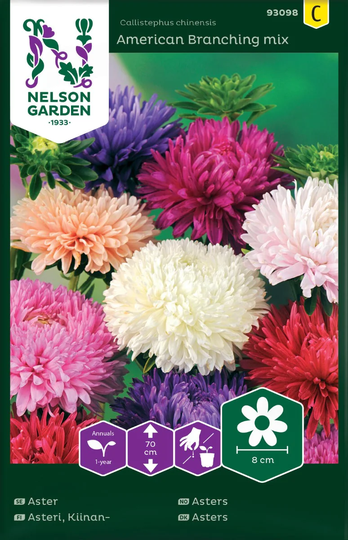 Nelson Garden Buskaster Amerikansk