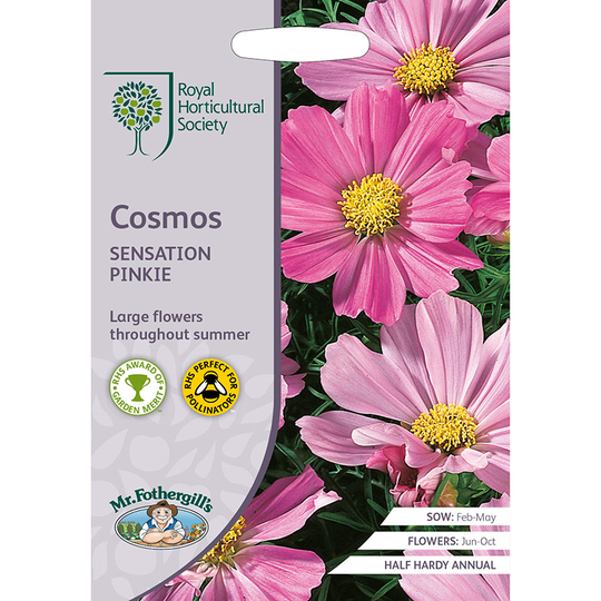 Rosenskära 'Sensation Pinkie'