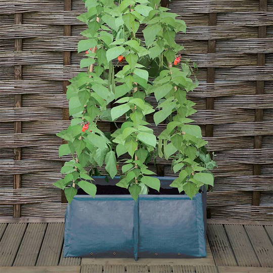 Odlingssäck med plats för växtstöd