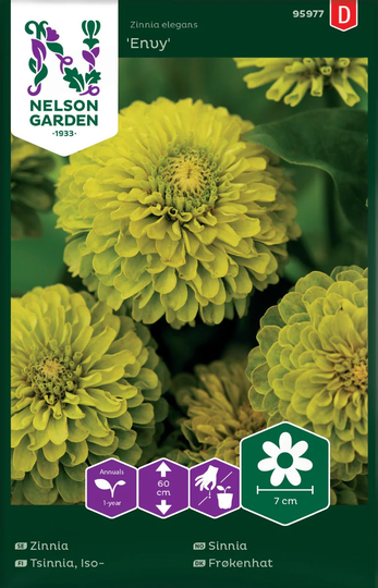 Nelson Garden Zinnia Envy Hög Limegrön