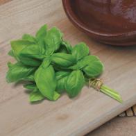 Basilika 'Aroma 2' F1
