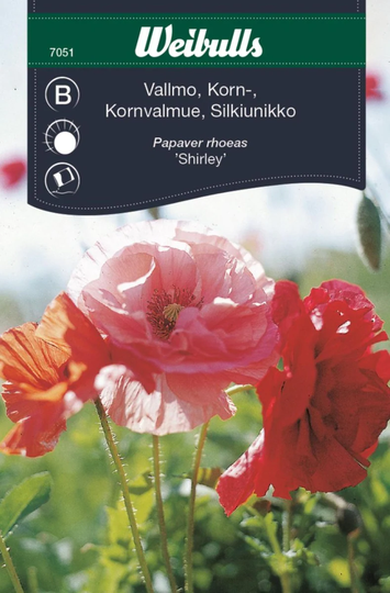 Weibulls Kornvallmo Shirley