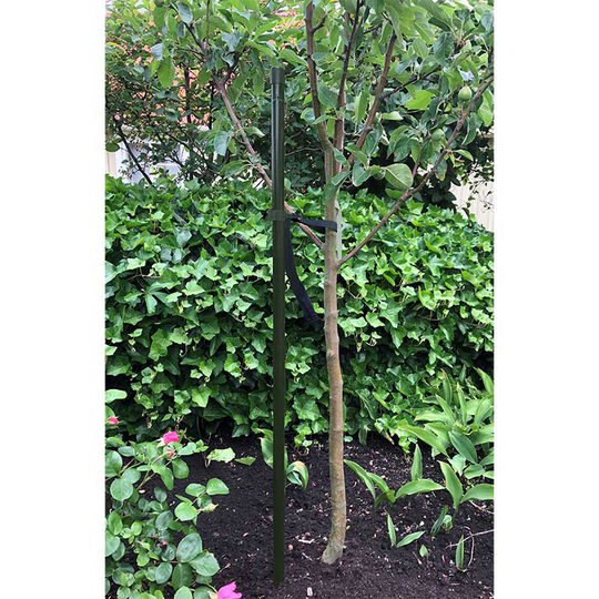 Trädstöd, grön 180 cm