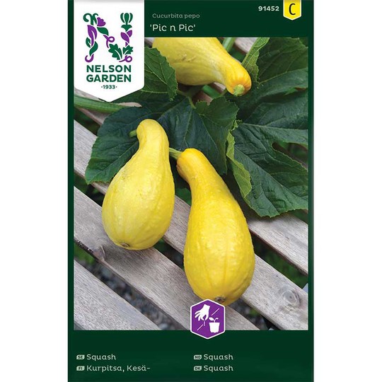 Squash 'Pic n Pic'