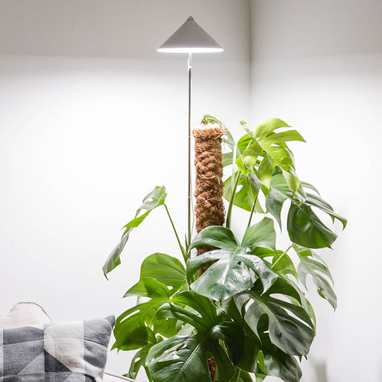 SunLite XL växtlampa med teleskopstativ, vit
