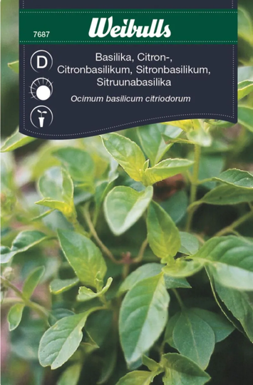 Weibulls Citronbasilika