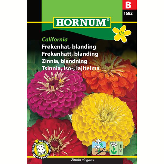 Zinnia 'California'