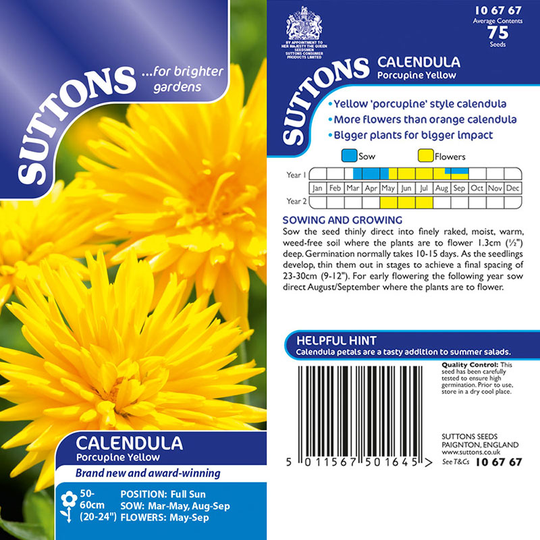 Ringblomma 'Porcupine Yellow'