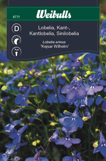 Weibulls Kantlobelia Blå