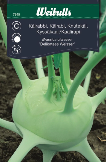 Weibulls Kålrabbi Delikatess Vit