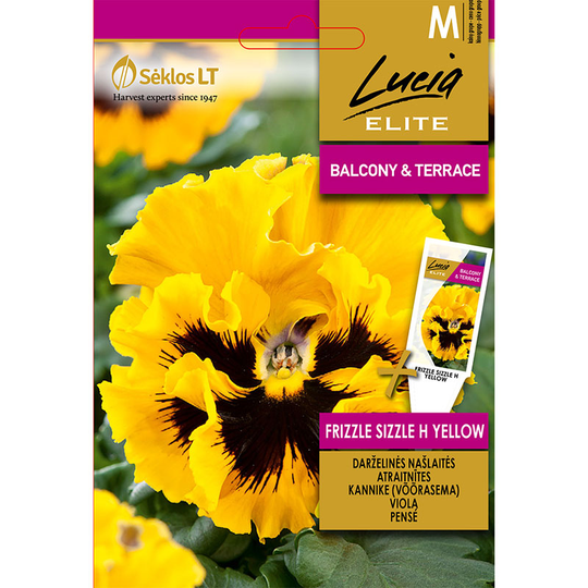 Pensé 'Frizzle Sizzle Yellow'