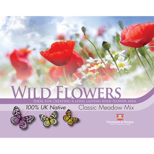Vildblommor 'Classic Meadow Mix'