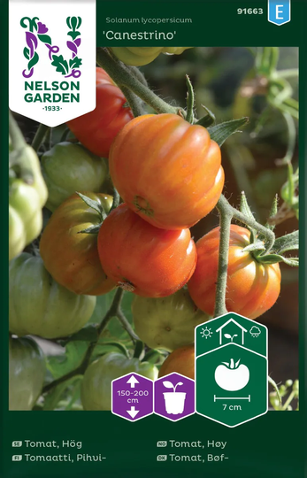 Nelson Garden Tomat Hög Canestrino