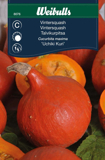 Weibulls Pumpa Uchiki Kuri